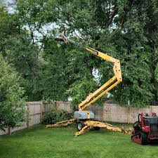 Best Tree Health Inspection  in Linwood, PA